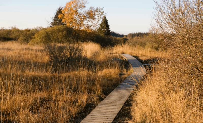 Webseite News (3)