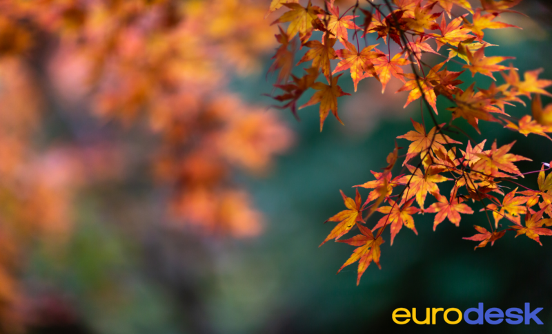 Eurodesk News 33